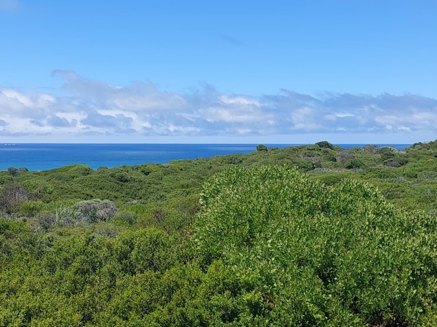 0 Bedroom Property for Sale in Agulhas Western Cape